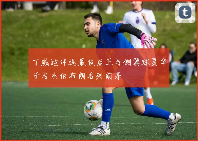丁威迪评选最佳后卫与侧翼球员华子与杰伦布朗名列前茅