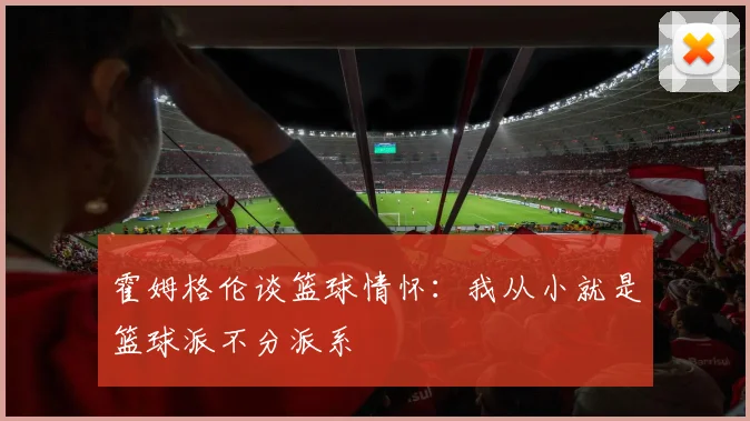 霍姆格伦谈篮球情怀：我从小就是篮球派不分派系