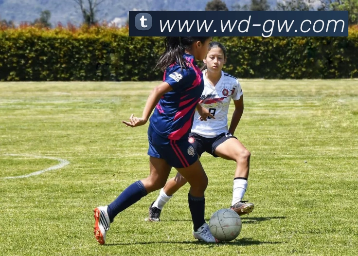 伟德官网APP 高清赛事图